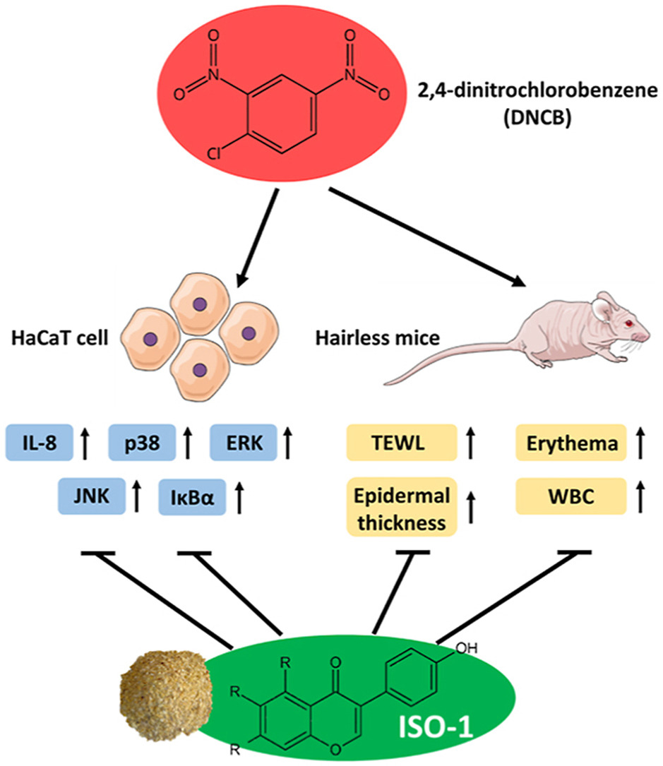 Figure1