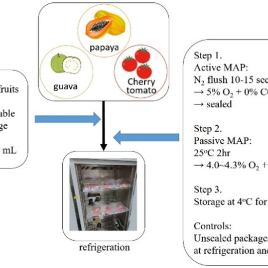 Effect of dual-mode modified atmosphere packaging on extension of shelf life for assorted fresh-cut fruits