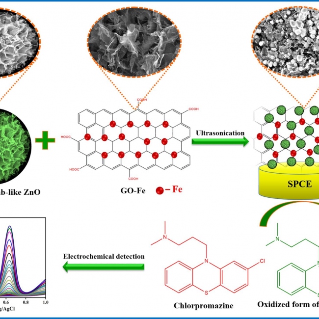 Sonochemical synthesis of iron-graphene oxide/honeycomb-like ZnO ternary nanohybrids for sensitive electrochemical detection of antipsychotic drug chlorpromazine