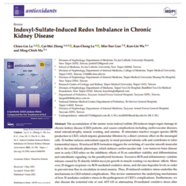 Indoxyl-Sulfate-Induced Redox Imbalance in Chronic Kidney Disease