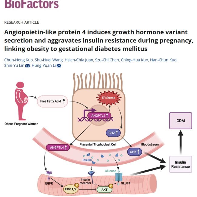 Angiopoietin-like Protein 4 Induces Growth Hormone Variant Secretion and Aggravates Insulin Resistance during Pregnancy, Linking Obesity to Gestational Diabetes Mellitus