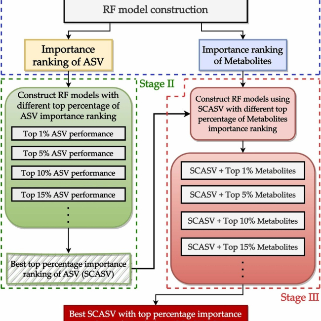 Explainable machine learning model for identifying key gut microbes and metabolites biomarkers associated with myasthenia gravis