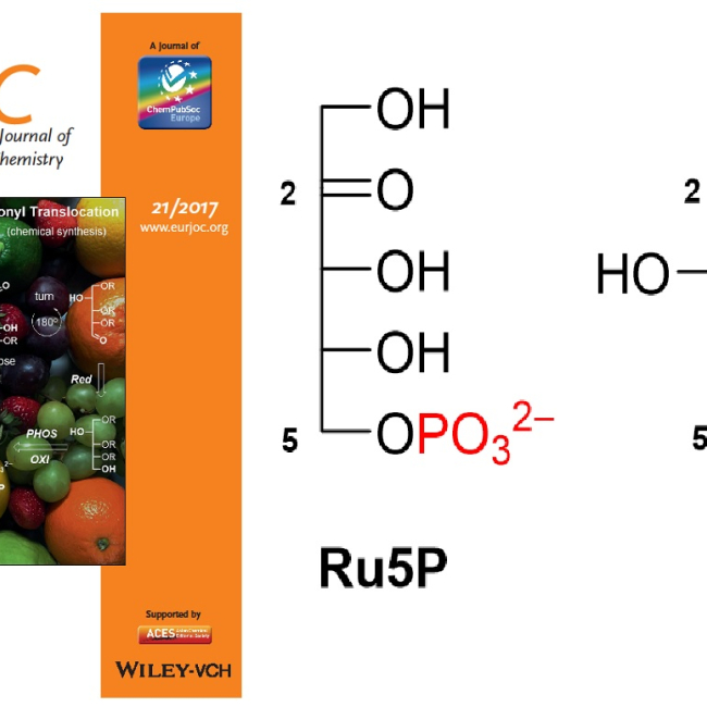 Chemical synthesis of ketopentose phosphates