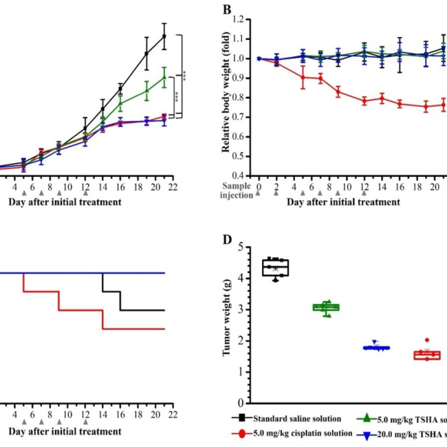 Innovative design of hyaluronic acid conjugated polymeric drug for targeted therapy of non-small cell lung cancer.