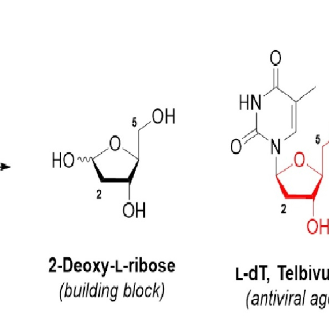 From a Carbohydrate Raw Material to an Important Building Block