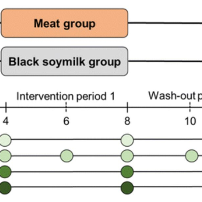 Substituting animal protein with black soymilk reduces advanced glycation end product level and improves gut microbiota composition in obese prediabetic individuals: a randomized crossover intervention trial